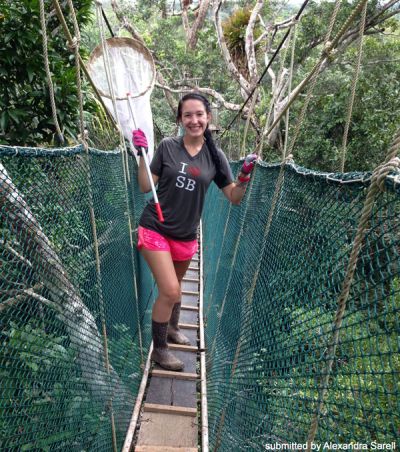 Alexandra Sarell collecting insects in canopy walkway