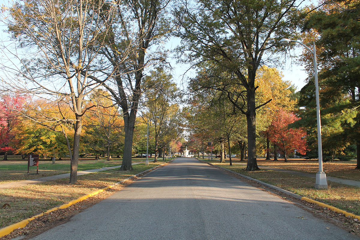 The Avenue