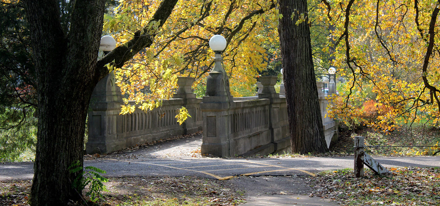 The Grotto Bridge in fall