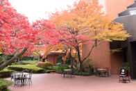 Campus sitting area surrounded by trees in Japan