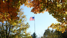 View of flag surrounded by fall trees