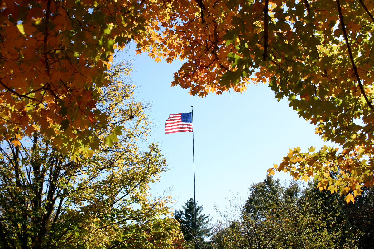 View of flag surrounded by fall trees