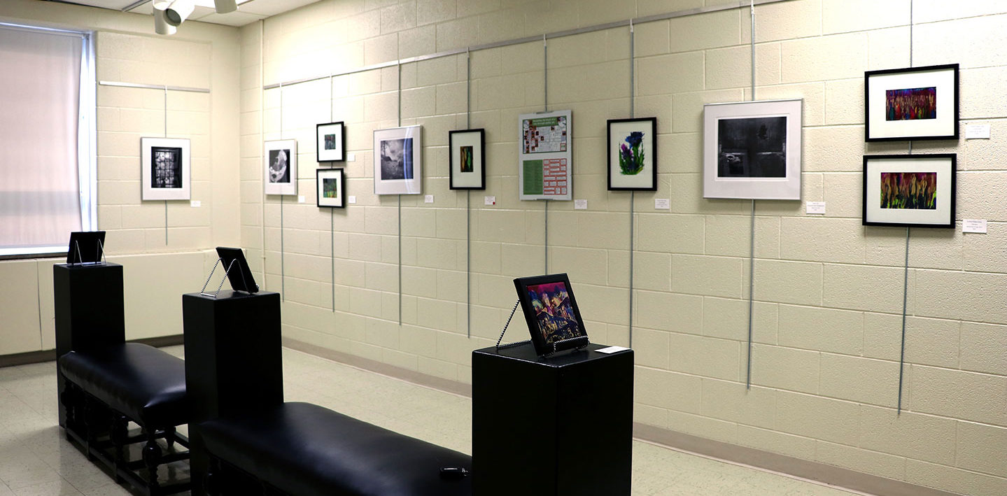Art exhibit in the art gallery