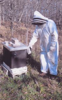 Mallory Tanis with a beehive