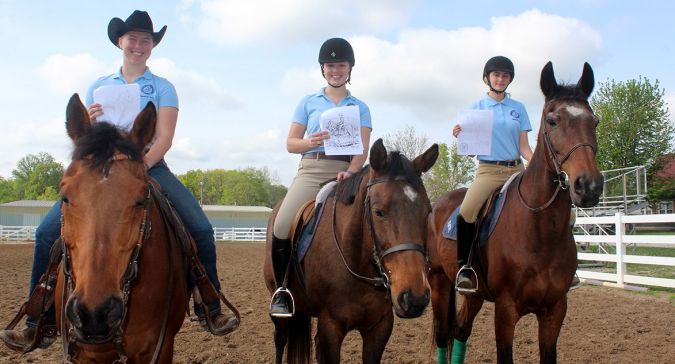 Equine Coloring Books