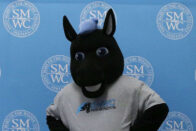 Onyx the horse standing in front of the SMWC photo board