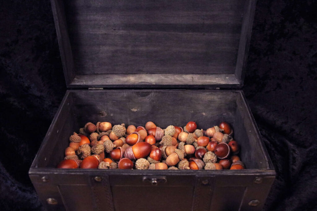 Wooden box filled with acorns