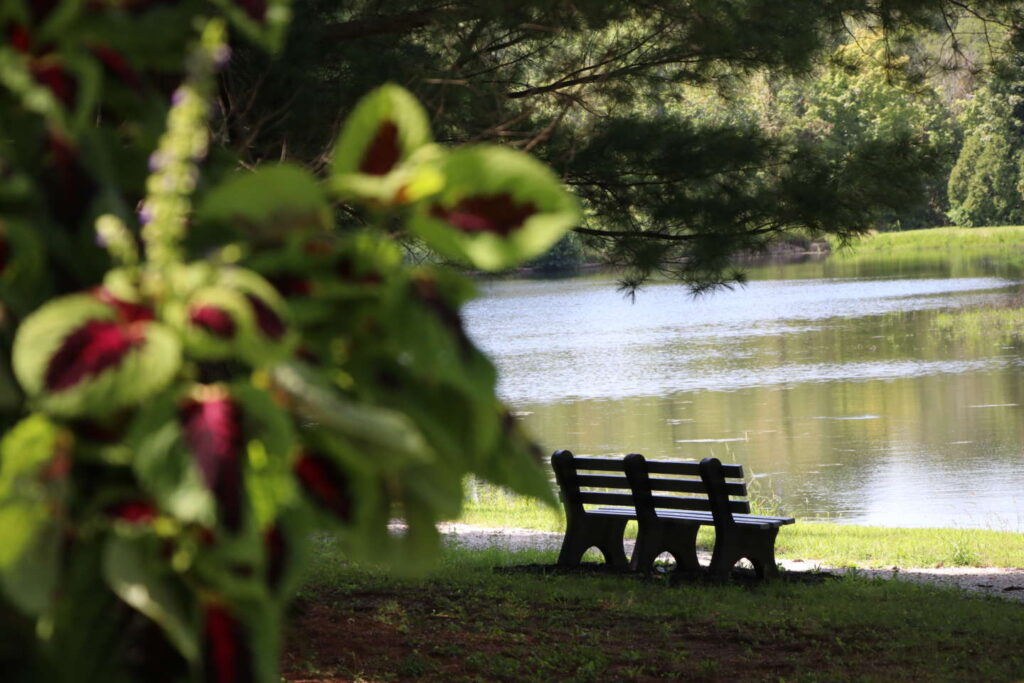 Serene photo of a bench overlooking Le Fer Lake.