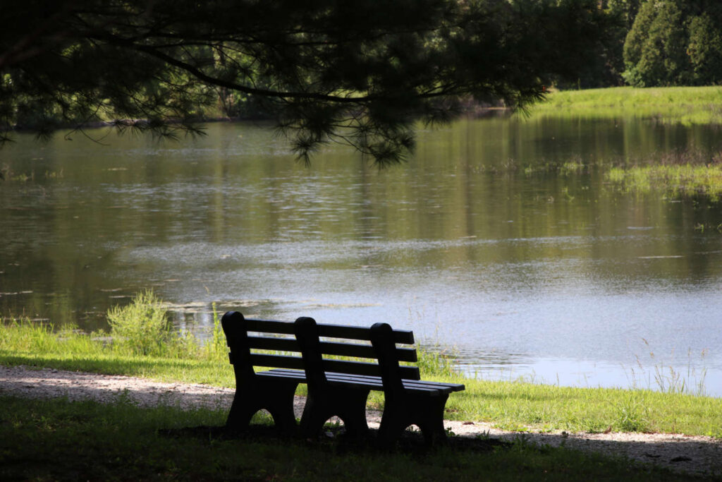 Serene photo of a bench overlooking Le Fer Lake.