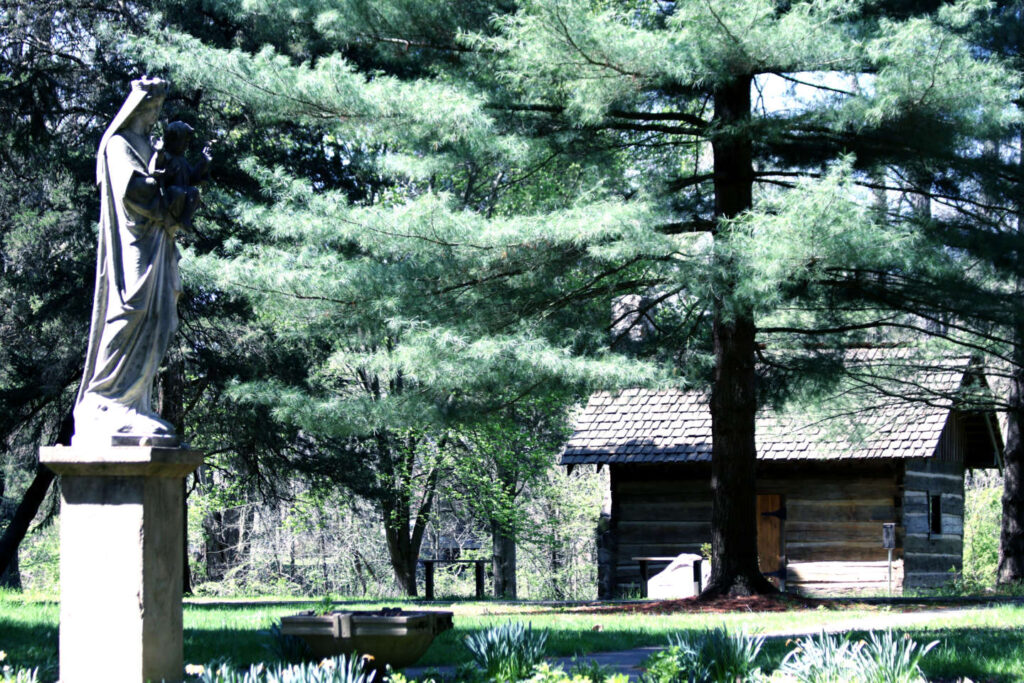 View of the Log Cabin through the trees