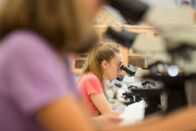 Student in lab focuses on microscope