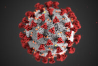 Illustration of the COVID-19 virus