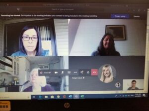 Screenshot of remote video meeting