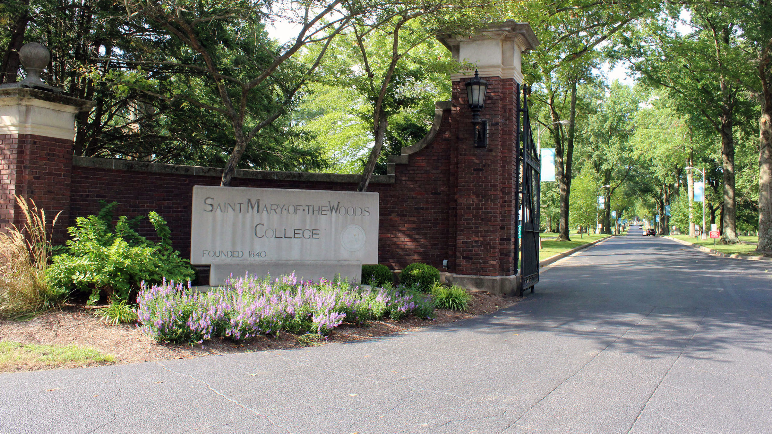 The gate