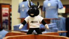 Onyx plushie in the bookstore