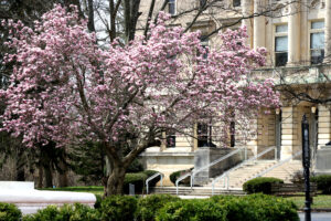 View of the conservatory in the spring