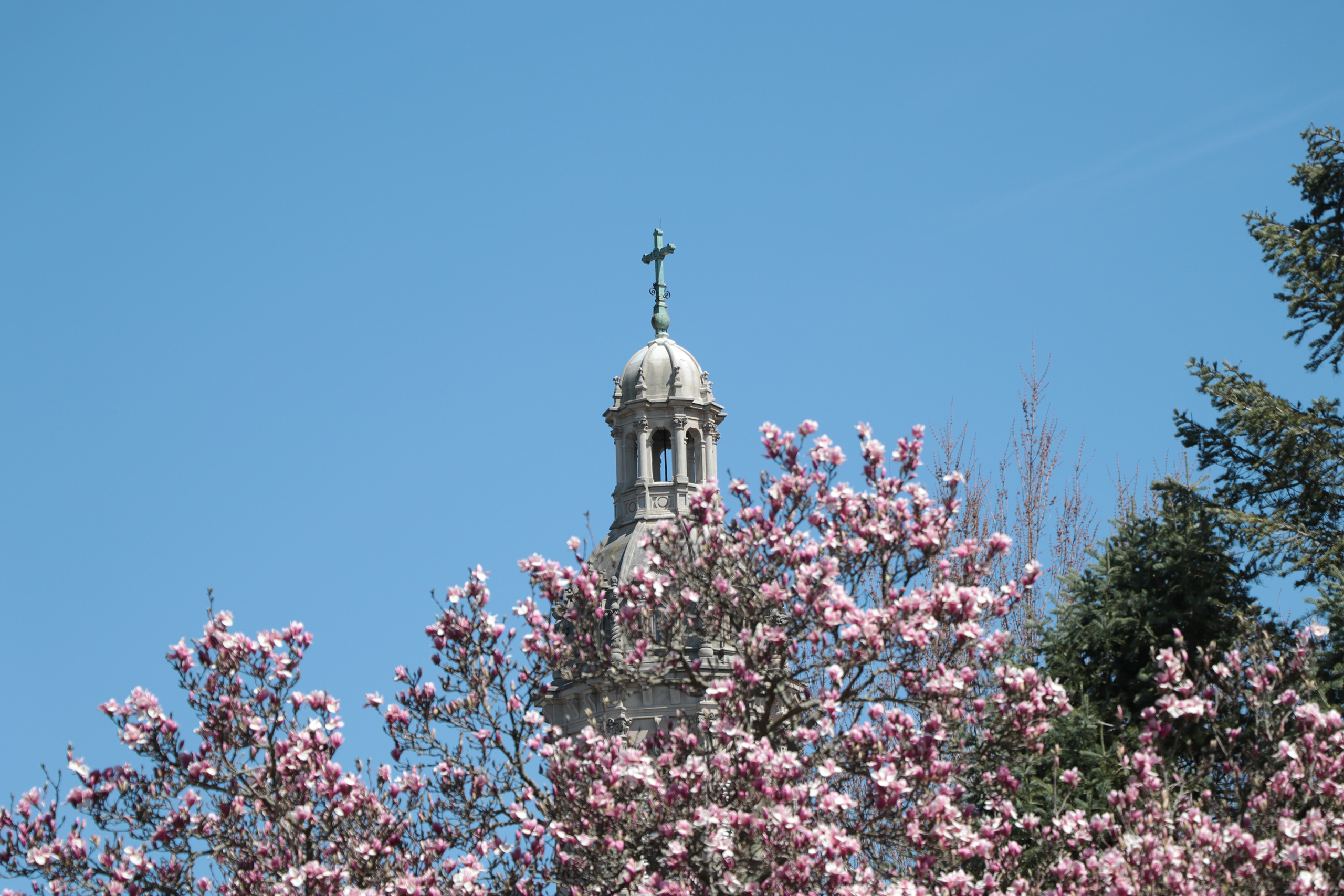 Church with magnolias