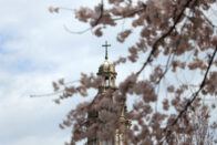 Church with magnolias