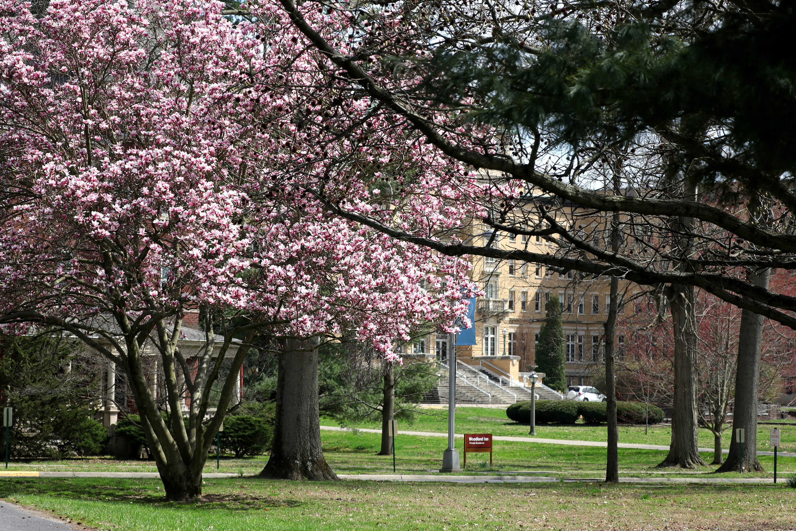 Le Fer Hall with magnolias