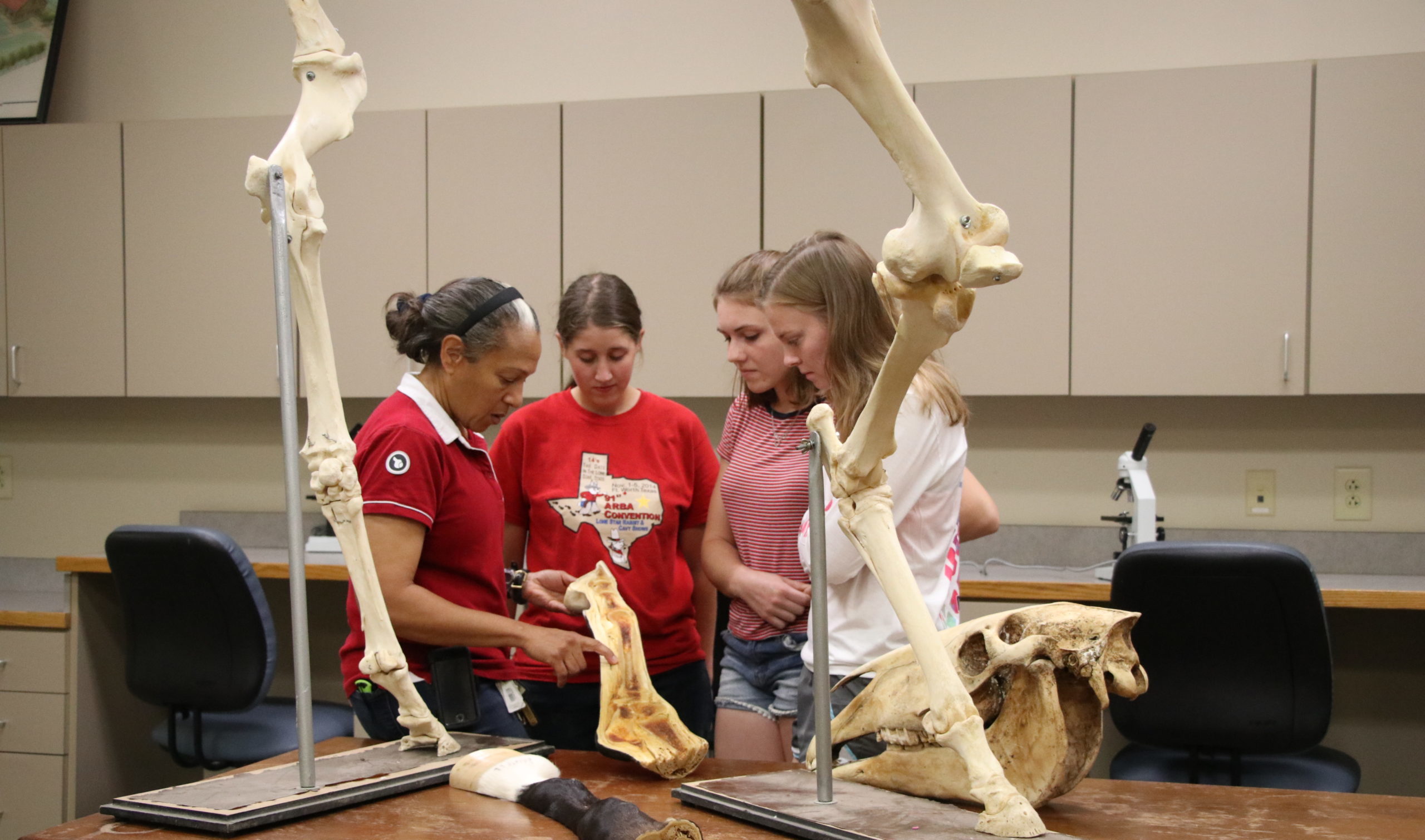Students talking to professor in equine anatomy class
