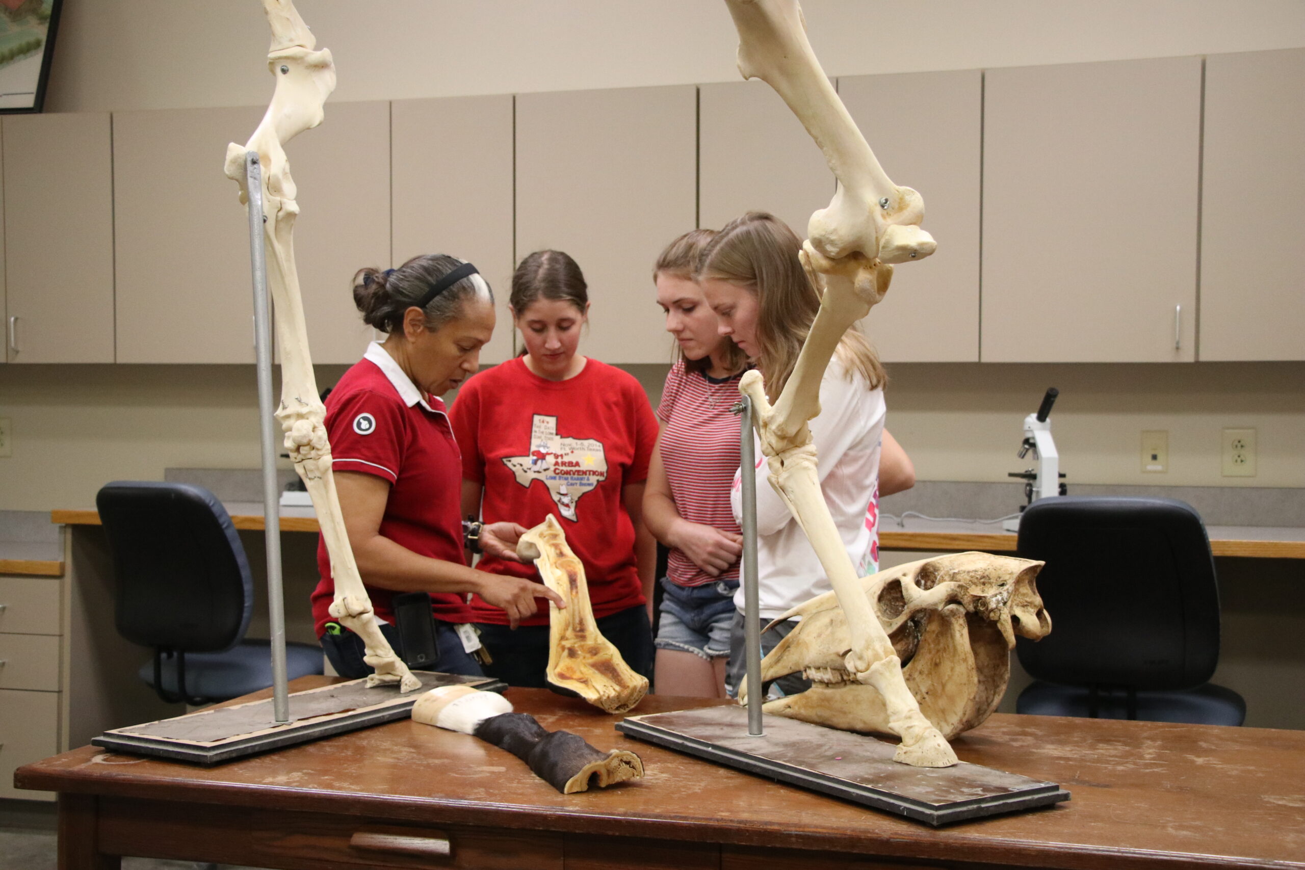 Students talking to professor in equine anatomy class