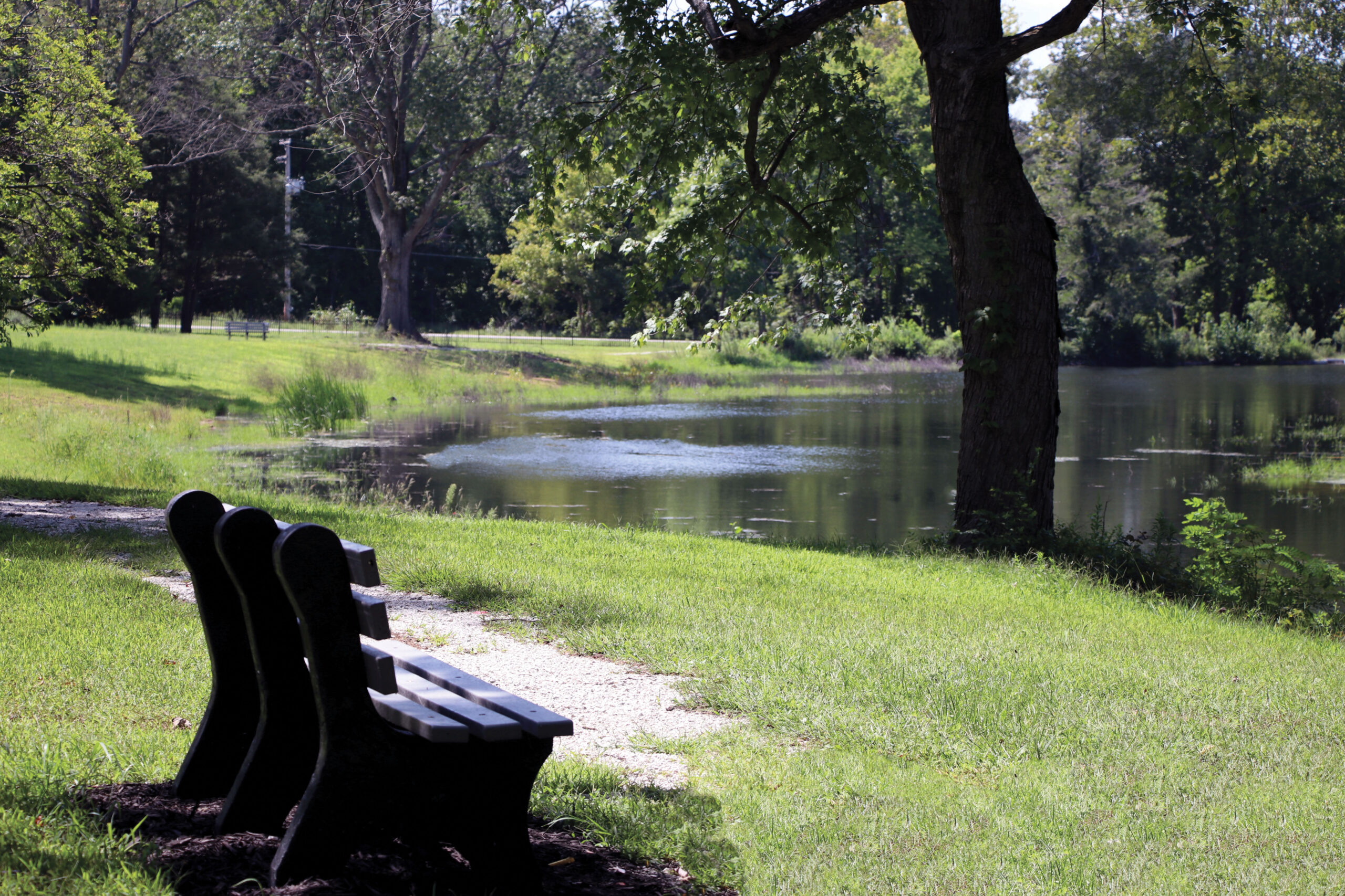 A bench looking over Le Fer lake