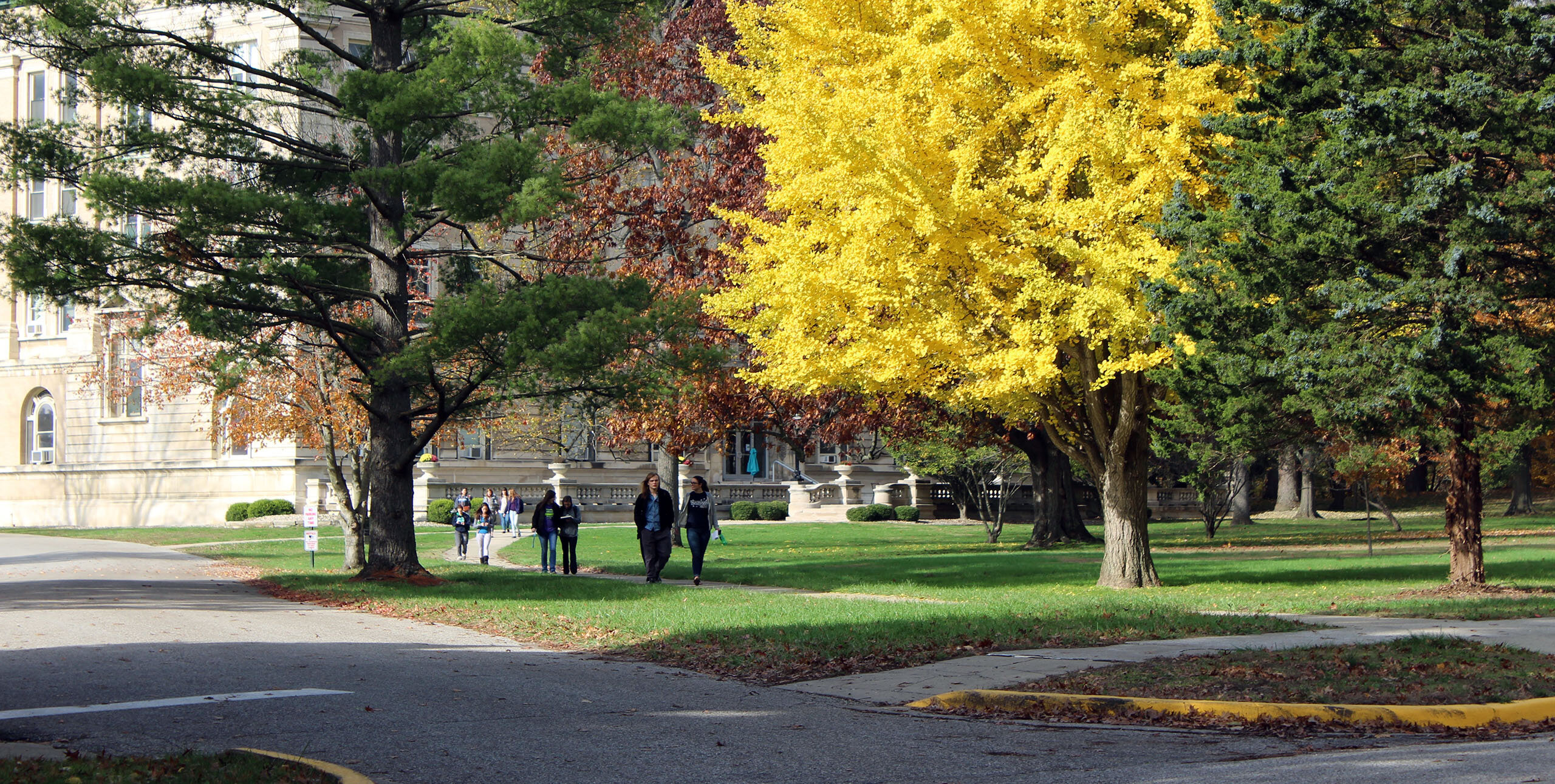 Students walking outside along sidewalk past fall colored trees