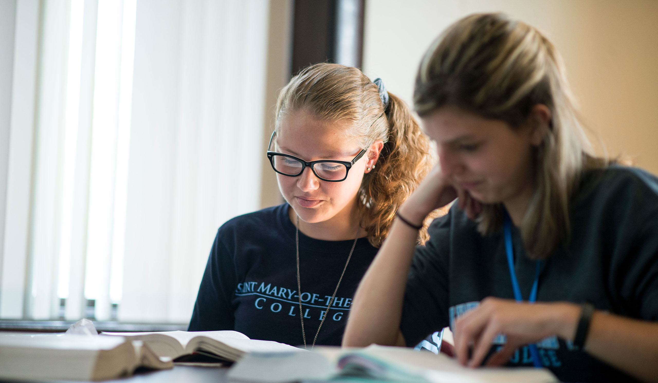 Two students studying