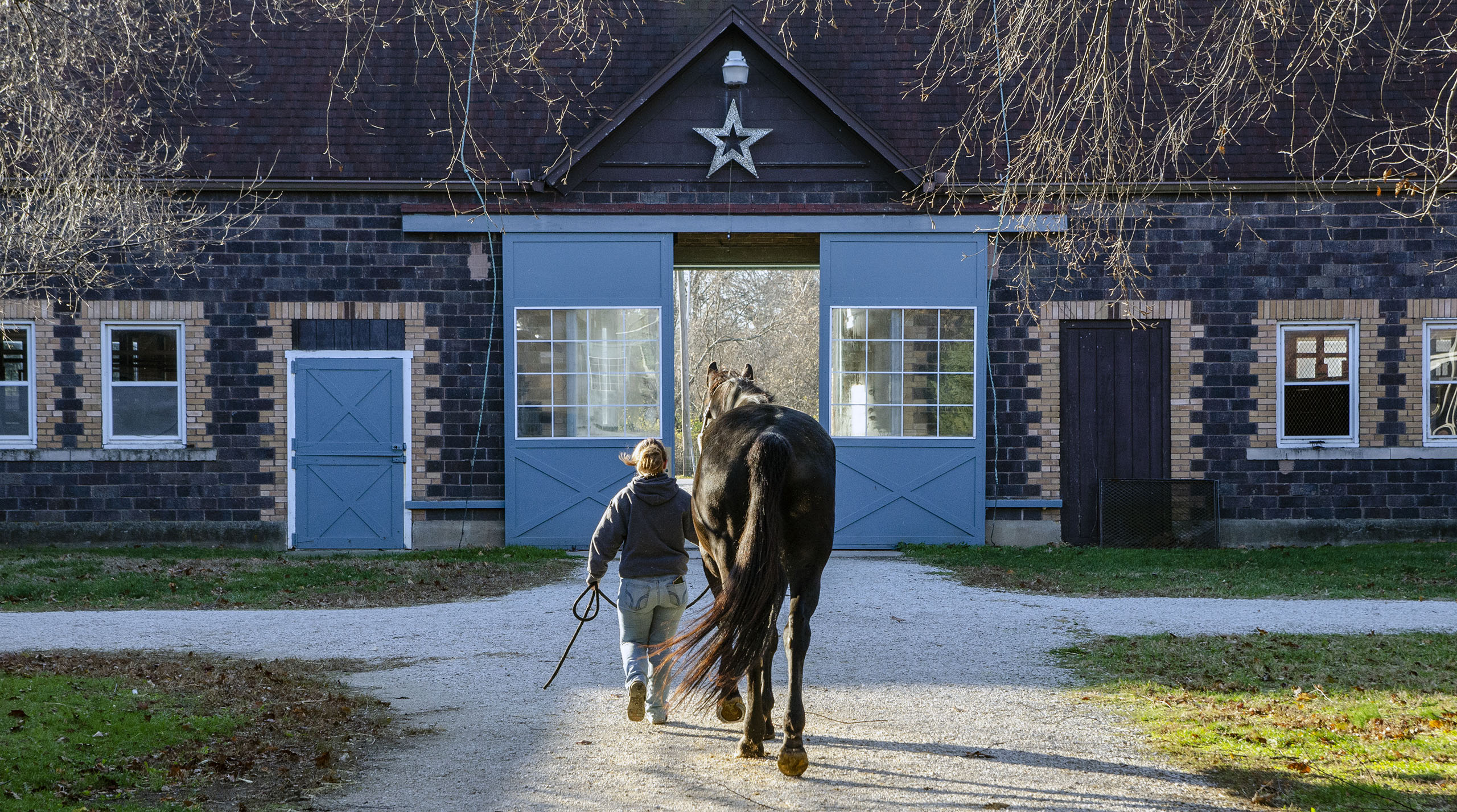 Student leading horse into the barn