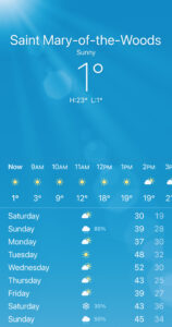 Screenshot of 1° temperatures in the February 19, 2021 forecast