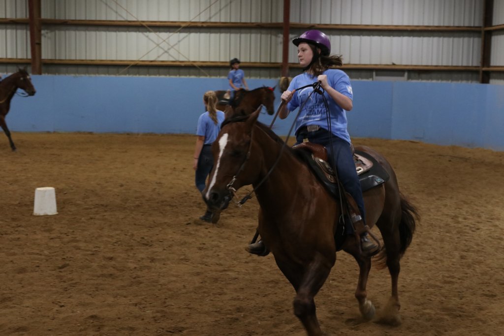 Equine summer camp a place to learn, grow SMWC