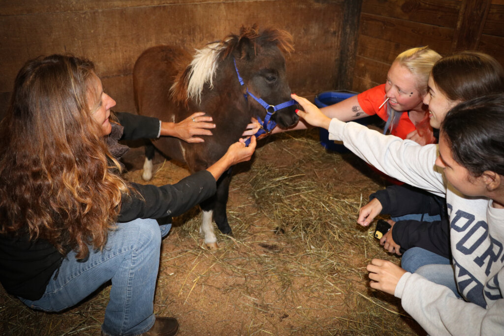 People with miniature horse