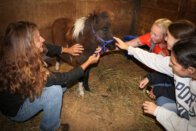 People with miniature horse