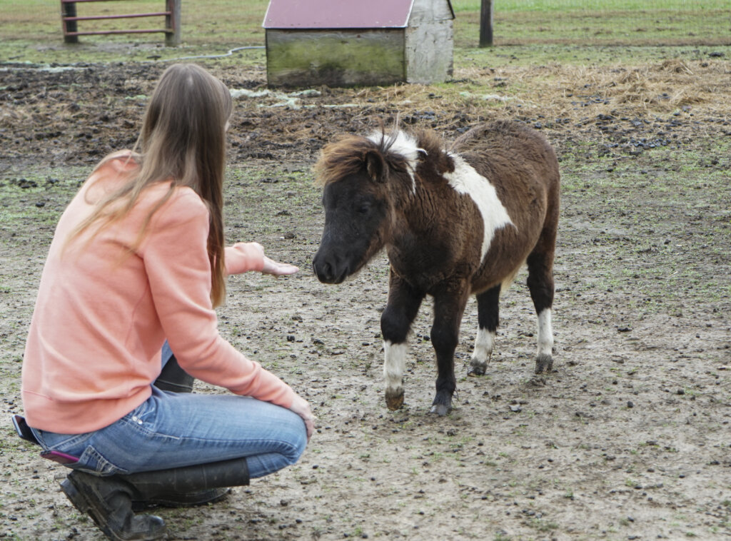 Woman with miniature horse