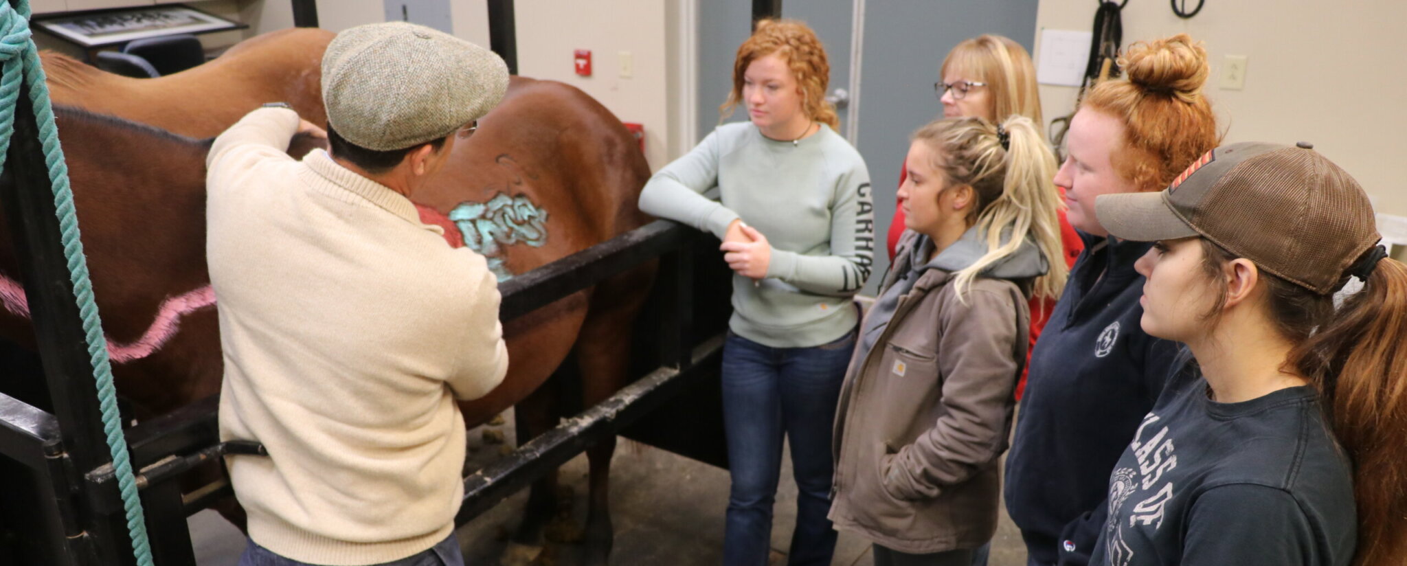 Master of Science in Equine Science Saint MaryoftheWoods College