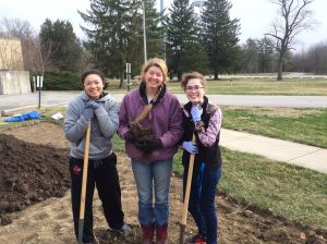 Students working on sustainability project