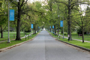 The Avenue