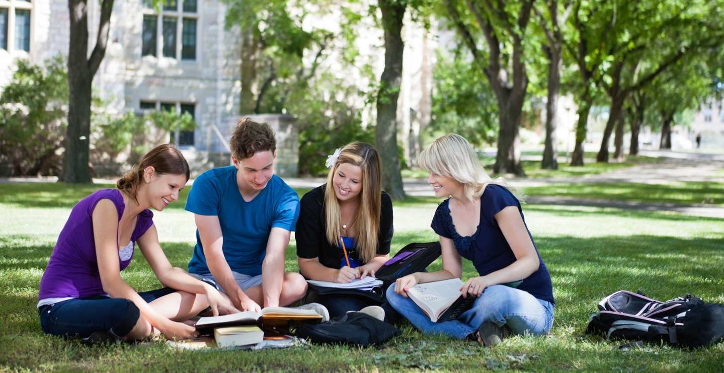 Three females and one male sitting in the grass studying together on a group project.