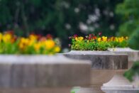 flowers on guerin hall porch