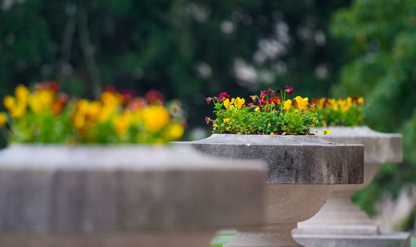 flowers on guerin hall porch