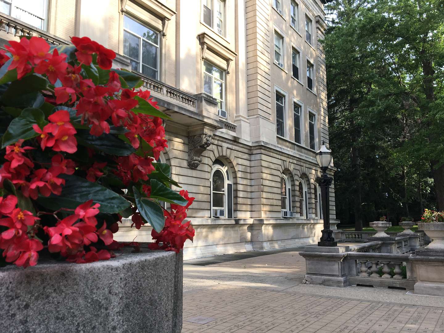 Red flowers out front of Guerin Hall