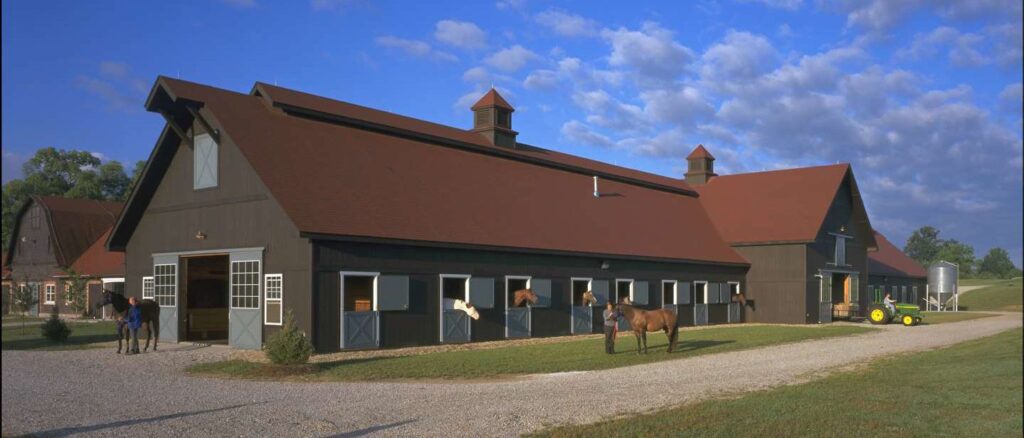 The equine facility with several horses heads out the stall windows and a blue sky.