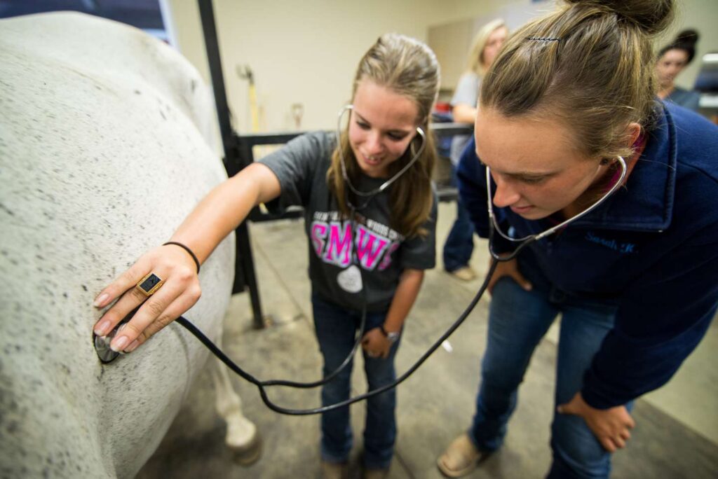 Two students with stethescopes listen to a horse.